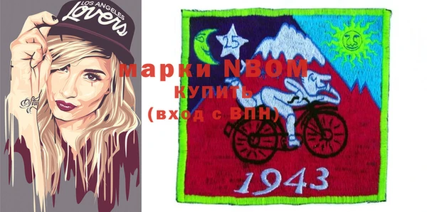 индика Абинск