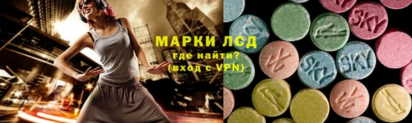 индика Абинск