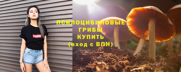 apvp Абдулино
