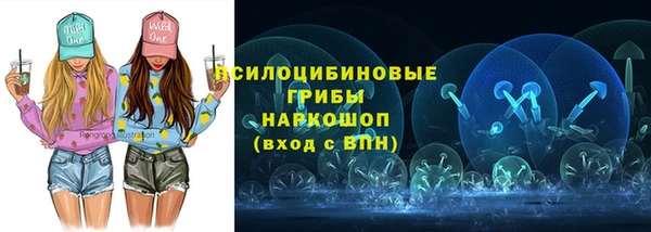 индика Абинск