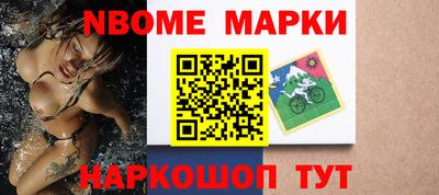 крисы Шебекино