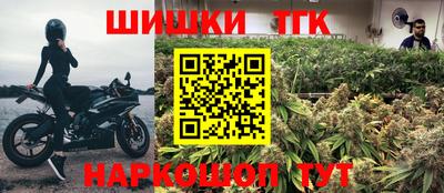 крисы Шебекино