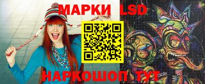 крисы Шебекино
