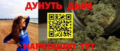 крисы Шебекино
