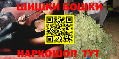крисы Шебекино