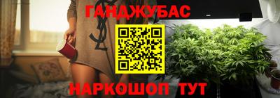 крисы Шебекино