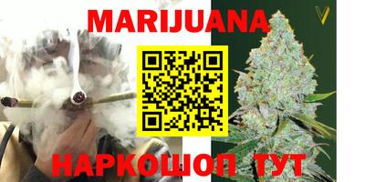 крисы Шебекино