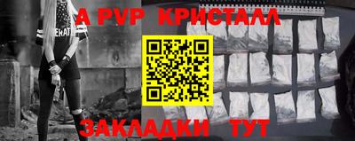 крисы Шебекино