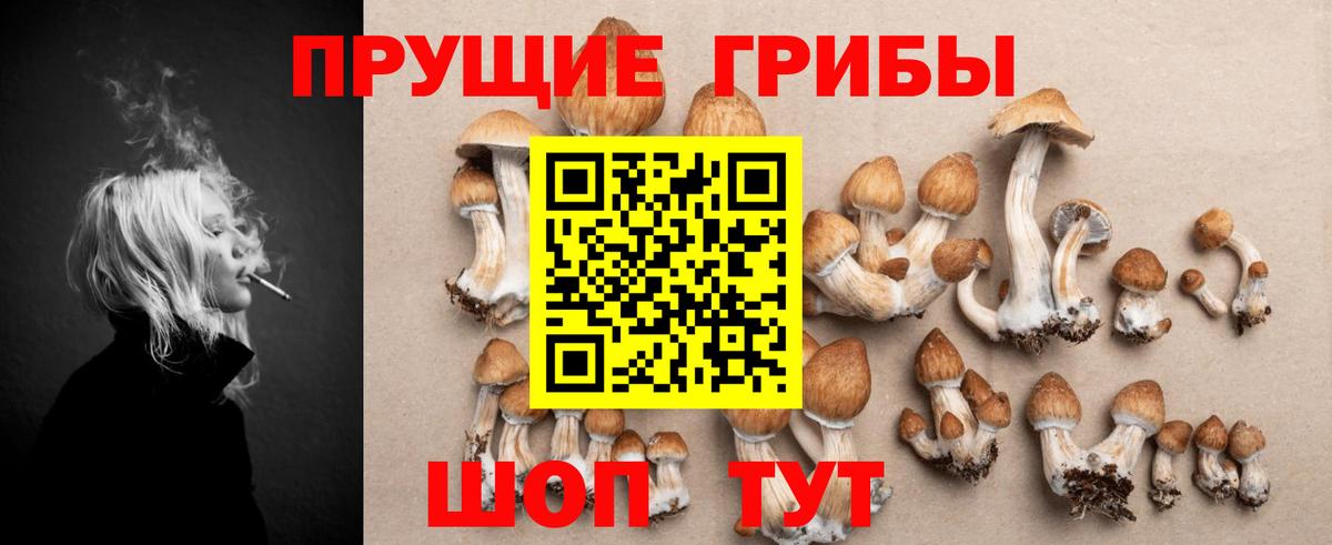Псилоцибиновые грибы MAGIC MUSHROOMS Нягань